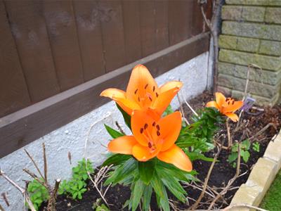 Picture 11